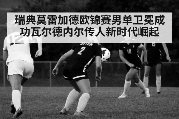 瑞典莫雷加德欧锦赛男单卫冕成功瓦尔德内尔传人新时代崛起