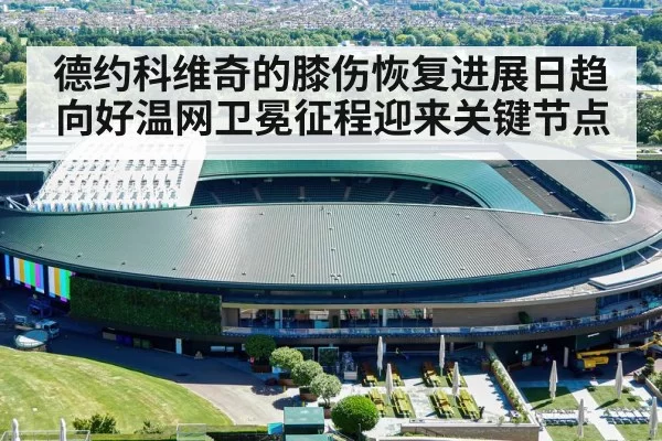 德约科维奇的膝伤恢复进展日趋向好温网卫冕征程迎来关键节点