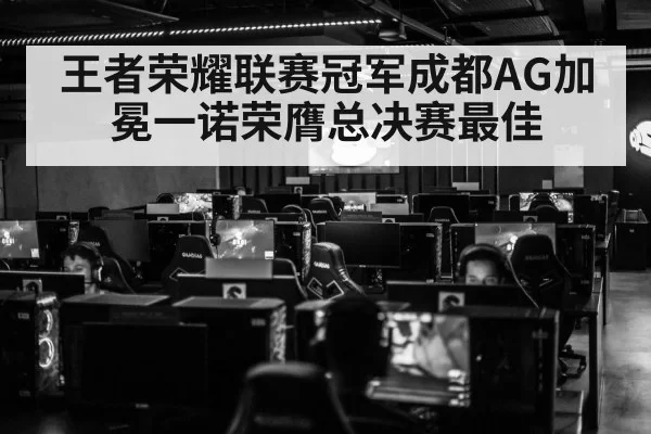 王者荣耀联赛冠军成都AG加冕一诺荣膺总决赛最佳